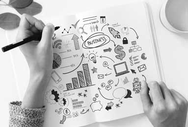 属兔2017年每月运势_属兔2017年每月运势详解