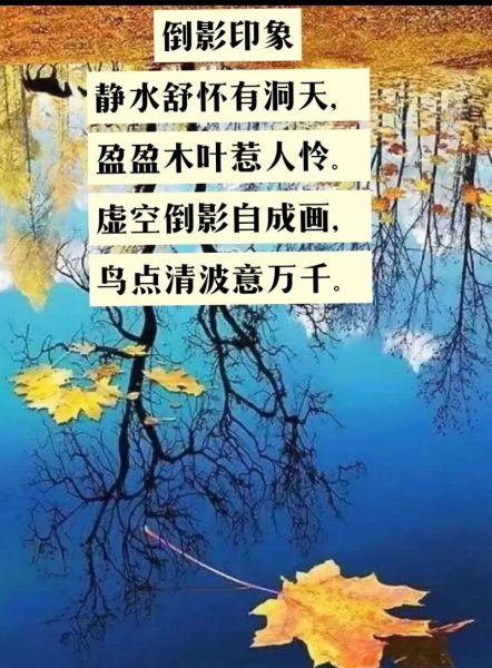 倒影的同义词有哪些_倒影的代替词语怎么用