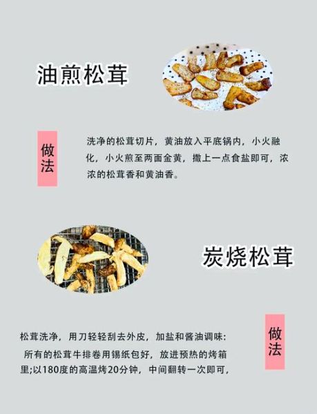 松茸怎么做好吃_松茸做法大全