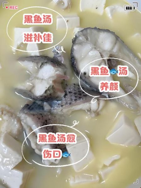 黑鱼汤怎么做_黑鱼汤去腥技巧