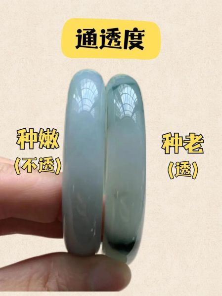 嫩绿是什么颜色_嫩绿和浅绿的区别