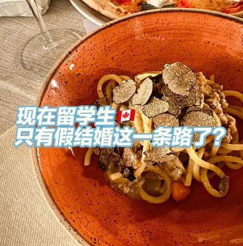 假结婚办移民合法吗_假结婚移民后果