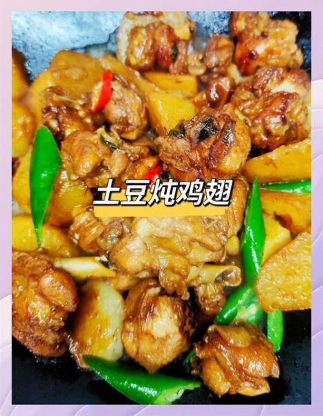 炖鸡翅根的家常做法_怎么炖才入味