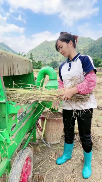 农忙活的季节是什么时候_农忙有哪些具体活