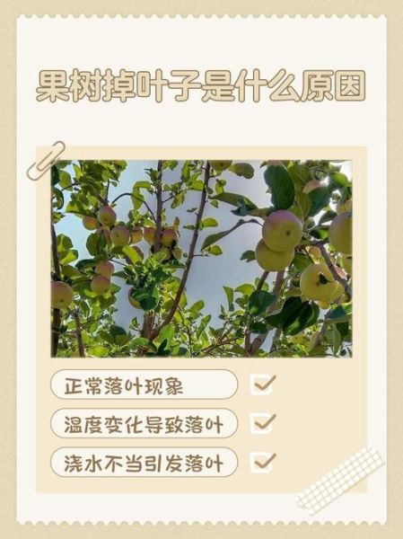 树叶少的原因_树叶少怎么办