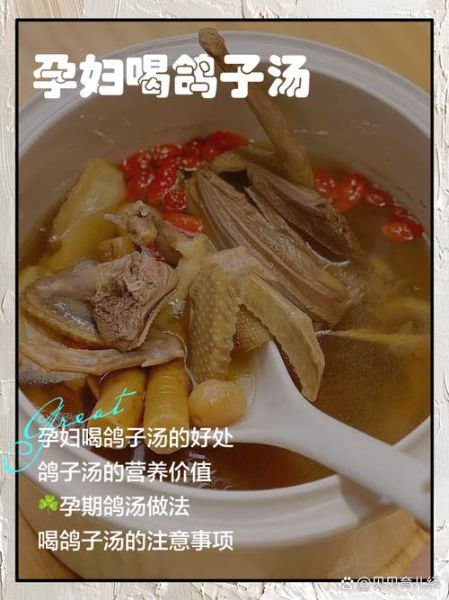 鸽子汤怎么炖最营养_孕妇可以喝鸽子汤吗