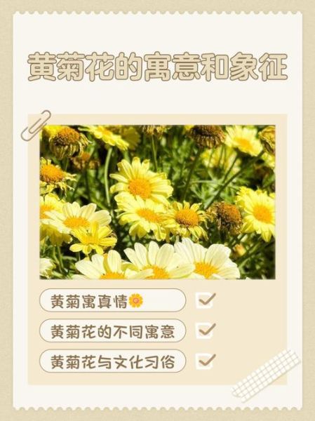 黄色代表什么含义_黄色有哪些象征意义