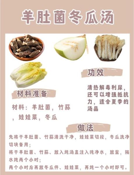 怎么煲老火靓汤_煲汤的正确步骤