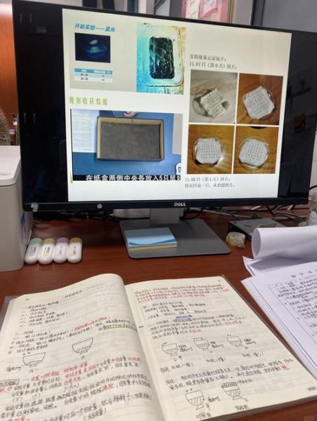 探究钻研是什么意思_探究钻研的方法有哪些