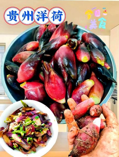 洋荷怎么炒好吃_洋荷的家常做法步骤