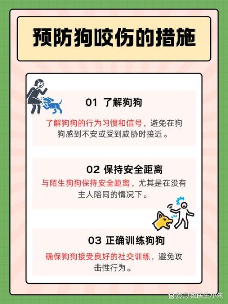 如何防止狗狗乱咬东西_狗狗乱跑怎么办