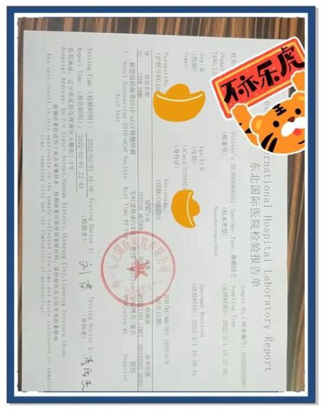 人道移民如何申请_人道主义签证流程