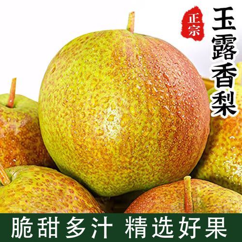 什么样的梨好吃_如何挑选新鲜多汁的梨