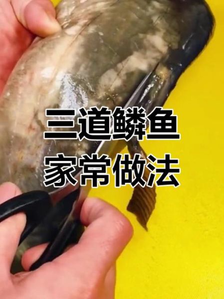 三道鳞鱼怎么炖不腥_家常做法步骤详解
