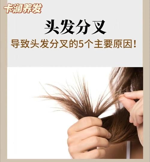 头发干枯毛躁怎么改善_头发分叉严重怎么办