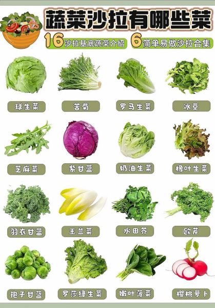 蔬菜沙拉怎么做好吃_蔬菜沙拉的做法步骤