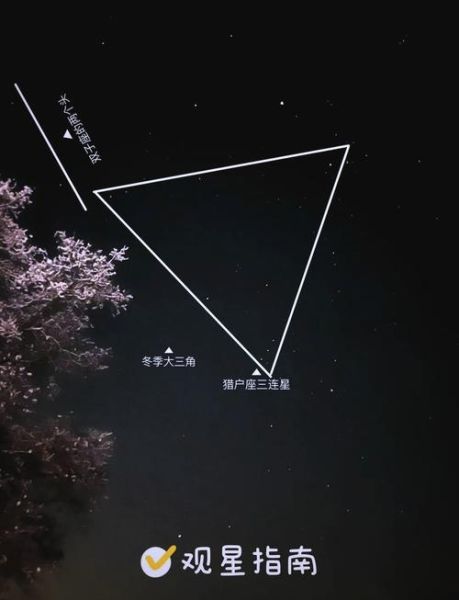 夜间天空有什么星星_如何辨认星座