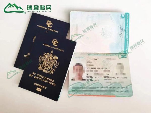 圣基茨移民条件2024_如何办理圣基茨护照