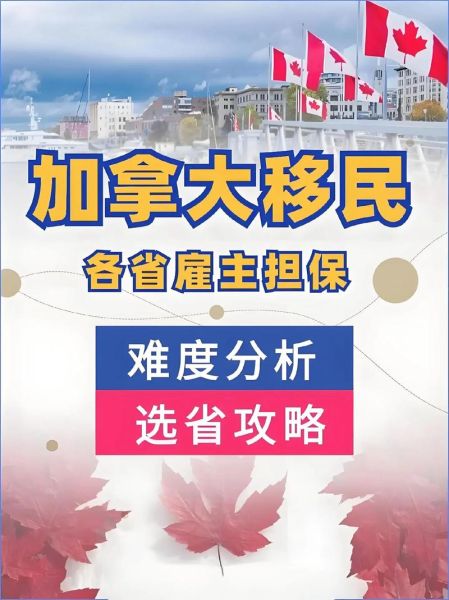 移民加拿大需要什么条件_移民中介怎么选