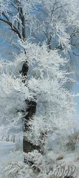 什么是包容量度_如何衡量包容量度