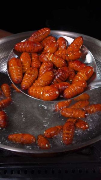 炒蚕蛹怎么做好吃_蚕蛹家常做法大全