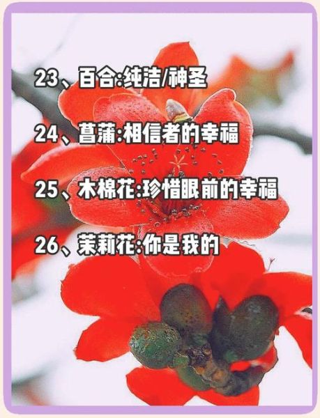 挂花是什么意思_挂花有哪些常见词语