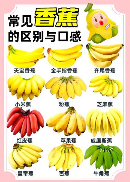 香蕉可以组什么词语_香蕉词语有哪些