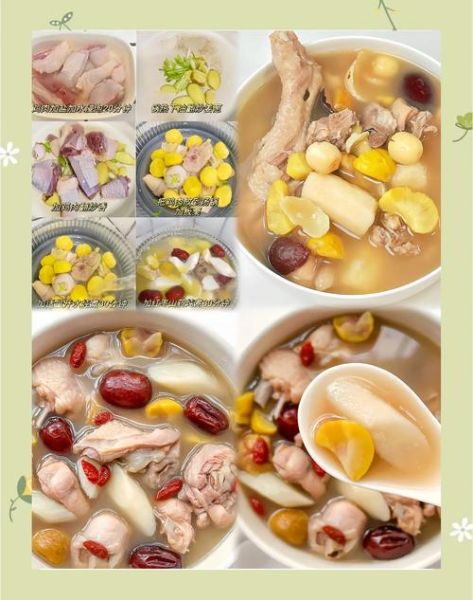 鸡肉炖汤的做法大全_鸡肉炖汤怎么炖才好吃