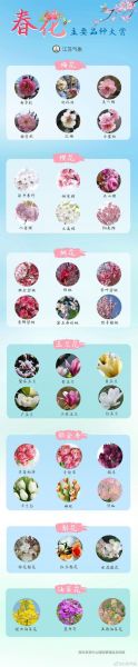 春天有哪些花_春天赏花最佳时间