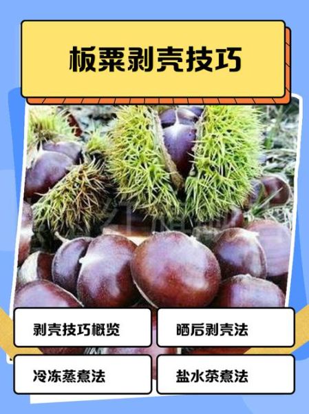 栗子怎么煮好吃_栗子剥壳技巧