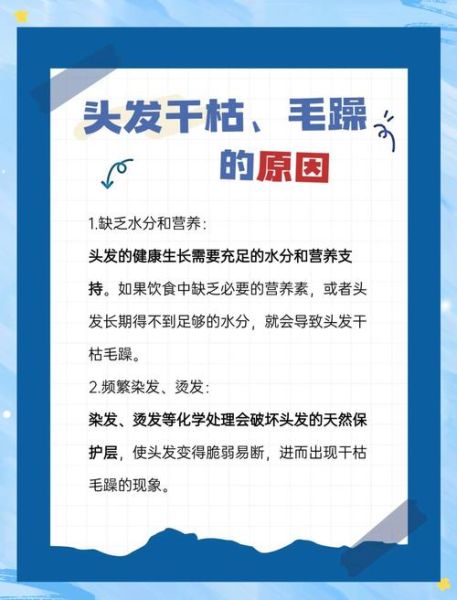 头发干枯毛躁怎么护理_头发分叉严重怎么办