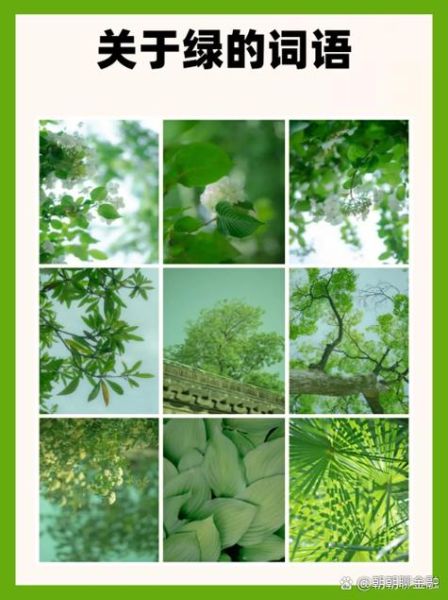 浓绿色怎么形容_浓绿色词语有哪些