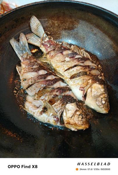 清江鱼怎么做好吃_清江鱼的家常做法