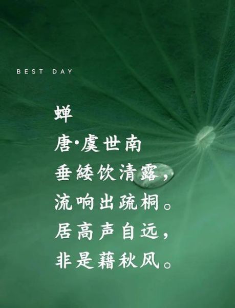 知了是词语吗_知了算不算词语