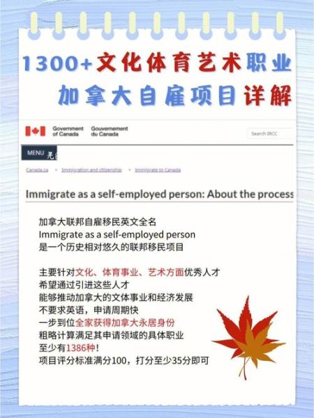 加拿大艺术家移民条件_如何申请联邦自雇移民