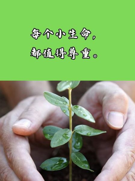 绿色生命是什么_绿色生命如何实践