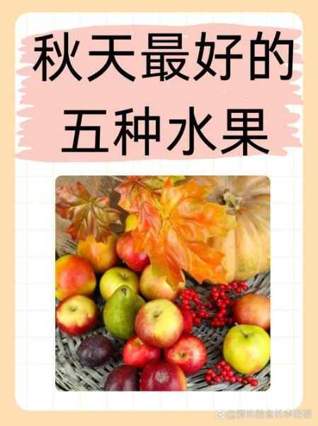 秋天硕果的寓意是什么_秋天硕果适合哪些场景