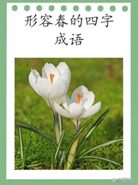 树木的绿有哪些词语_树木绿色词语大全