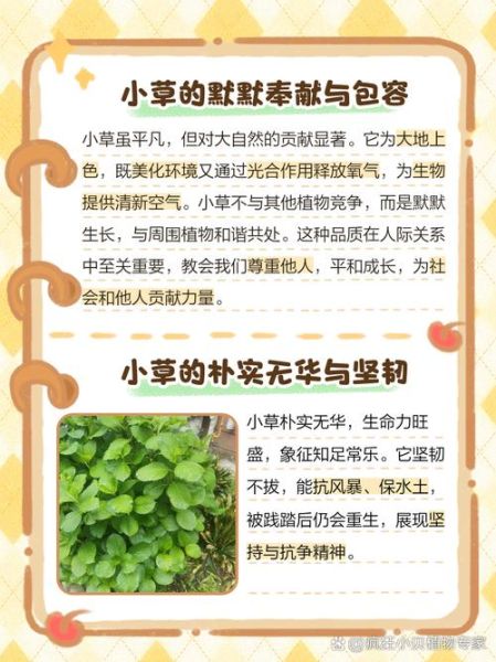 小草为什么那么坚强_赞美小草的四字词语有哪些