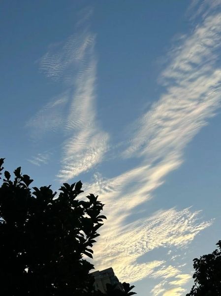 什么是照云_照云有哪些核心功能