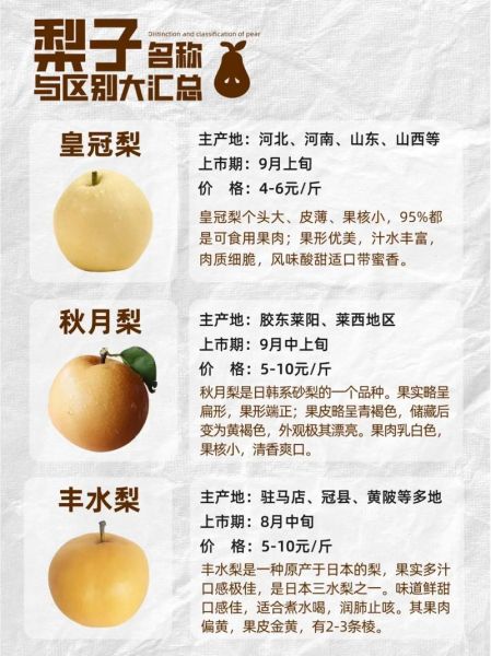 梨有哪些词语_梨的词语有哪些