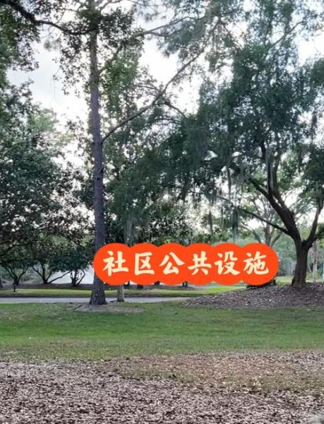 shequ是什么意思_shequ和community区别在哪