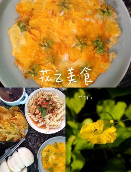 南瓜花炒鸡蛋怎么做_南瓜花炒鸡蛋的功效与禁忌