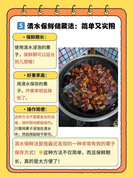 板栗怎么保存不会坏_新鲜板栗可以放多久