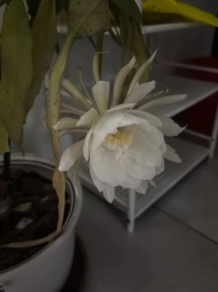 瞬间即刹那是什么意思_刹那与瞬间区别