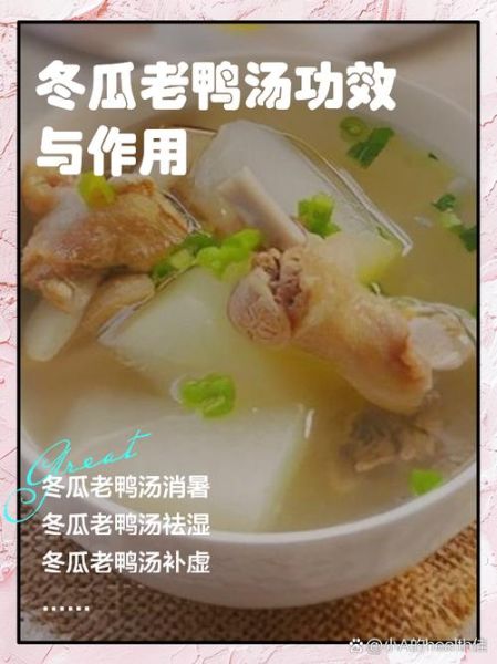 冬瓜鸭汤怎么做_冬瓜鸭汤去腥技巧