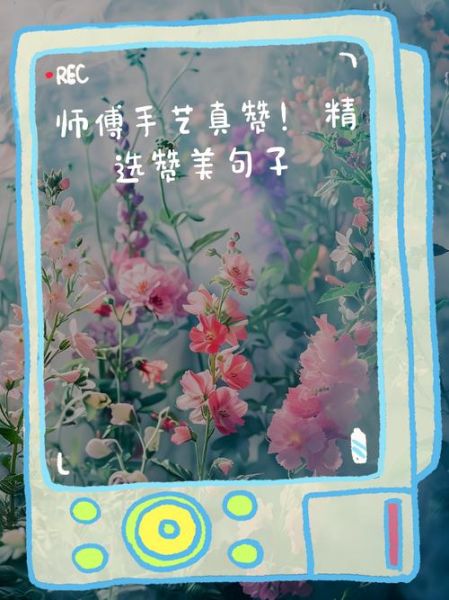 夸赞手艺好的词语有哪些_如何夸人手艺好