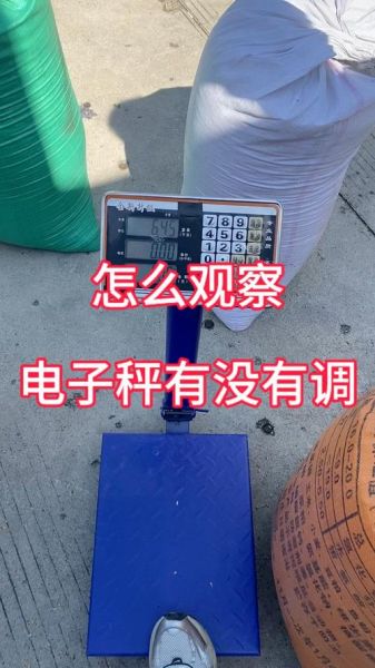 手机电子称怎么用_手机电子称准不准