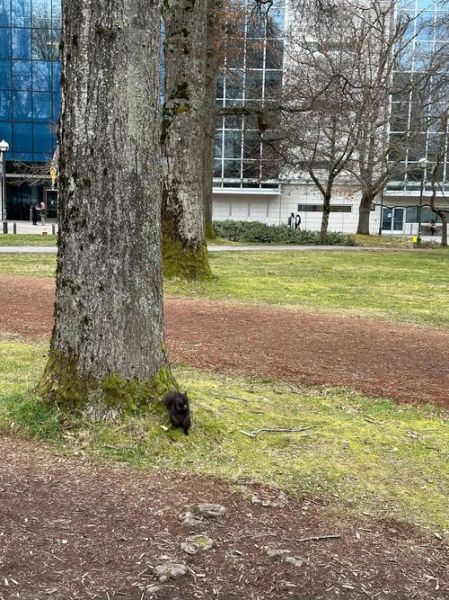 萨省移民真实生活_萨省移民后悔吗