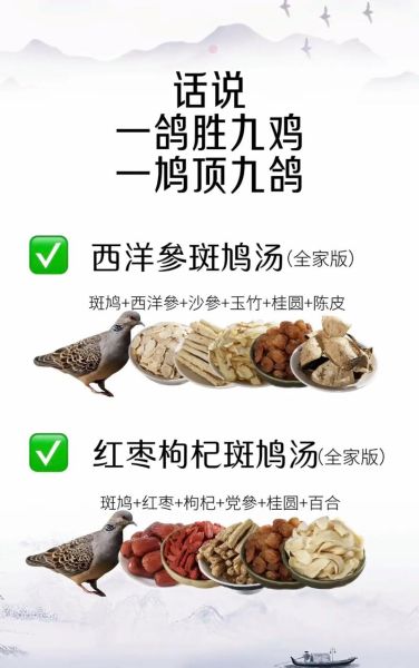 斑鸠怎么做最好吃_斑鸠炖汤的做法